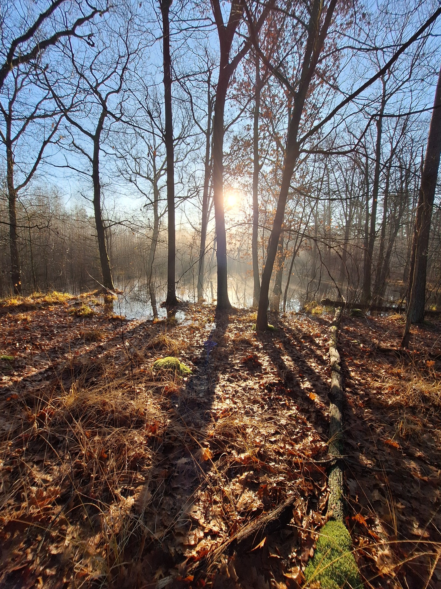 Wandelcoaching in de natuur